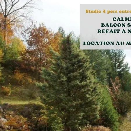 Studio Entre Foret Et Vignoble ! Turckheim Exterior photo