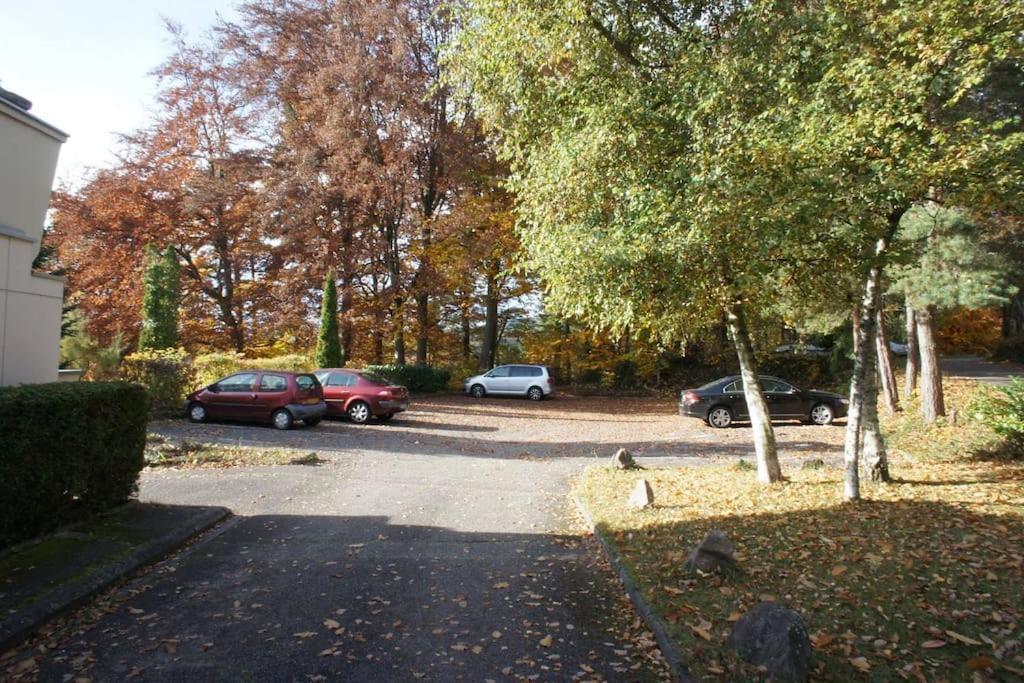 Apartment Entre Foret Et Vignoble !