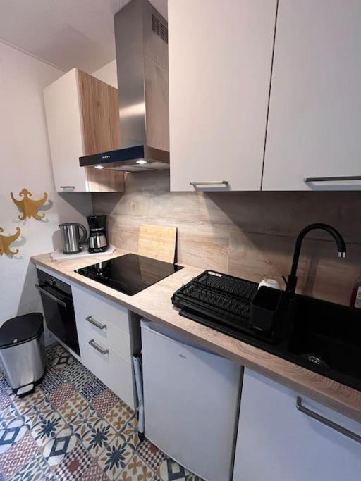 Entre Foret Et Vignoble ! Apartment Turckheim